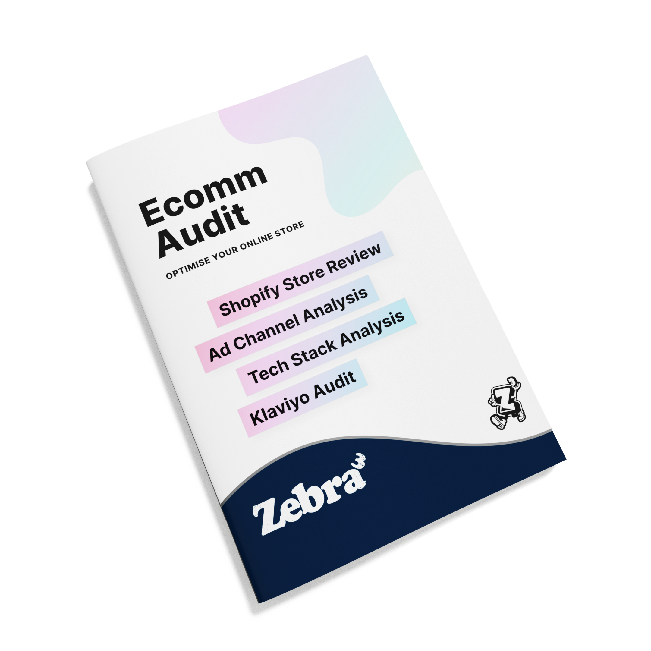 eComm Audit